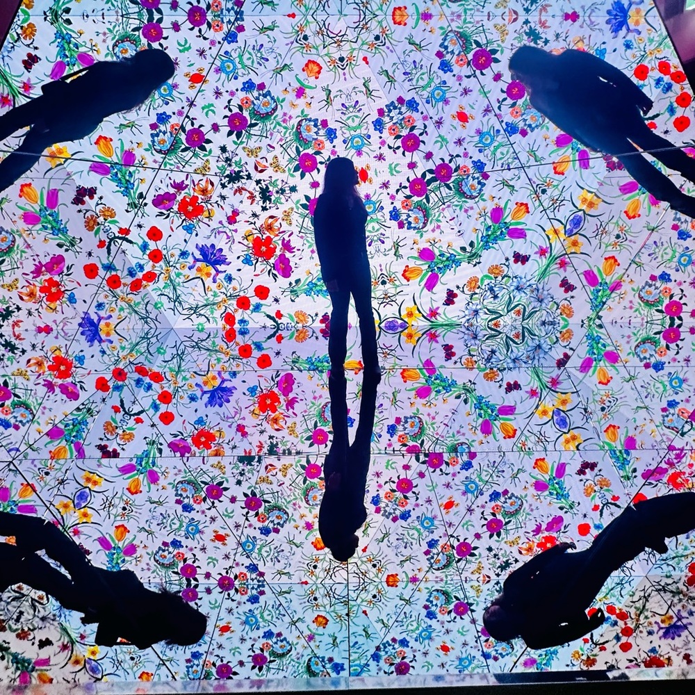 Meet your Posher, Julie